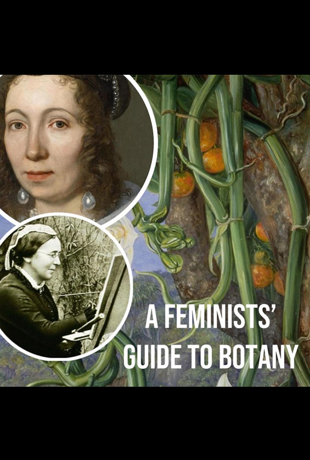 a feminist's guide to botany london drawing group